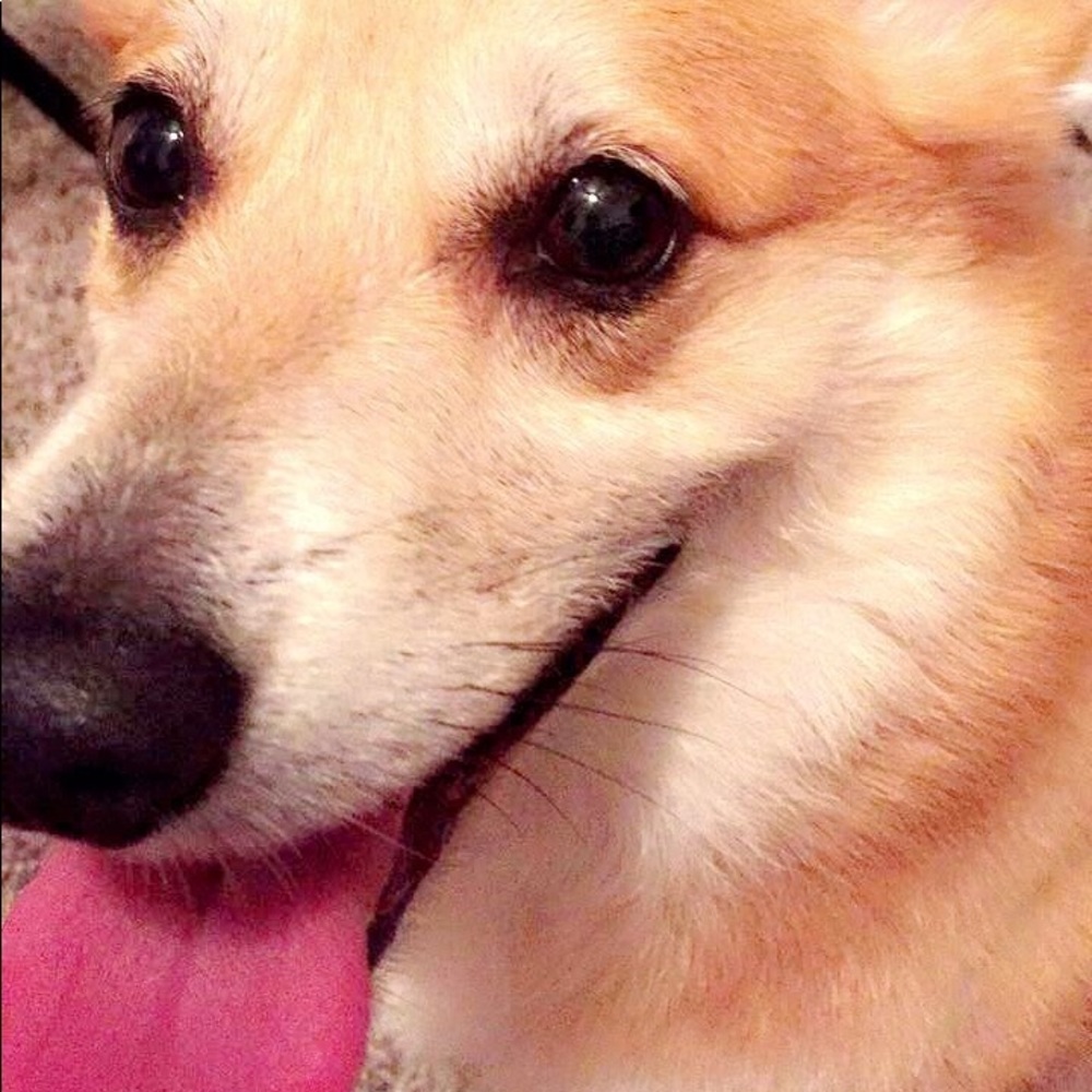 Meet your Posher, Cindy